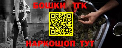 индика Балахна
