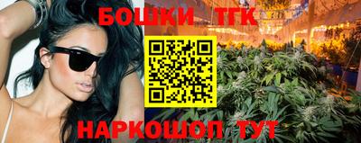 индика Балахна
