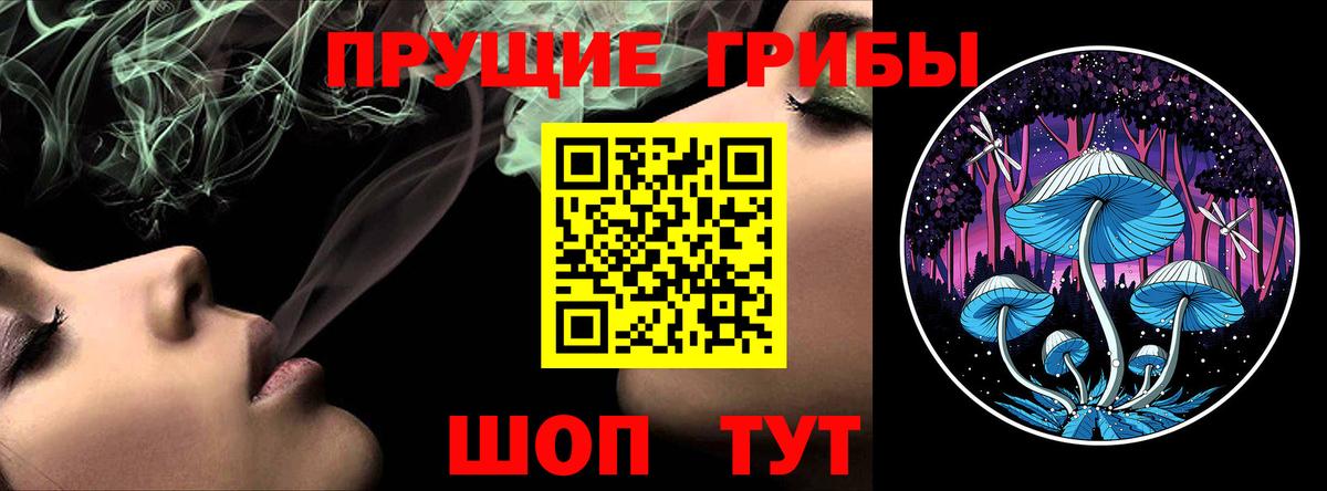 Псилоцибиновые грибы Psilocybine cubensis  купить  сайты  Егорьевск  Галлюциногенные грибы MAGIC MUSHROOMS  Вход с VPN 
